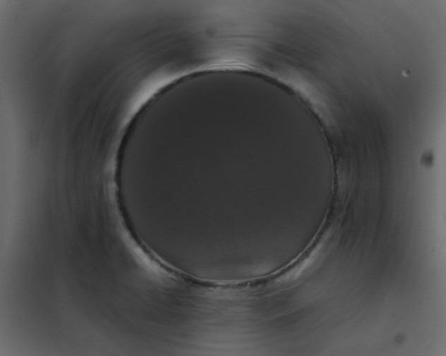 X0000101991422200808081623