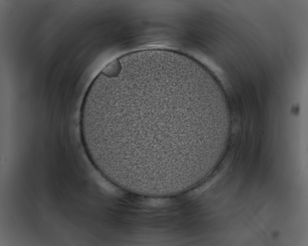 X0000101991423200808081623