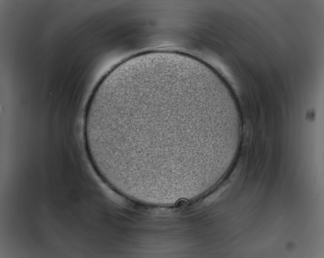 X0000101991424200808081623