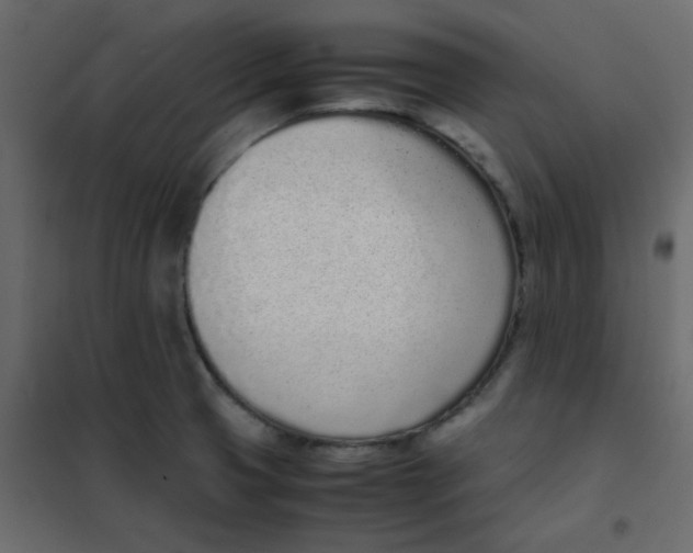 X0000101991425200808081623