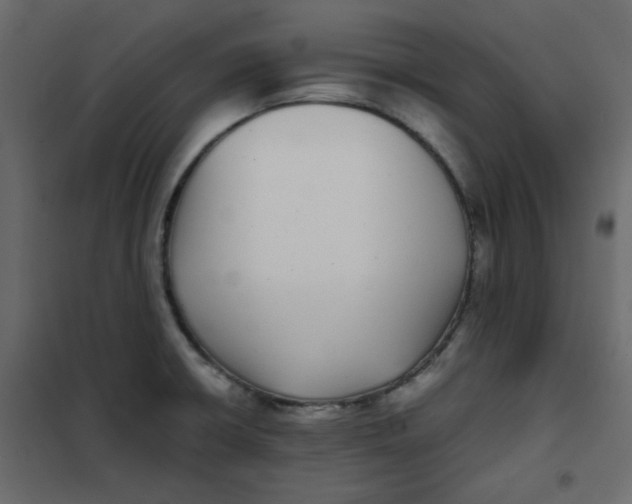 X0000101991426200808081623