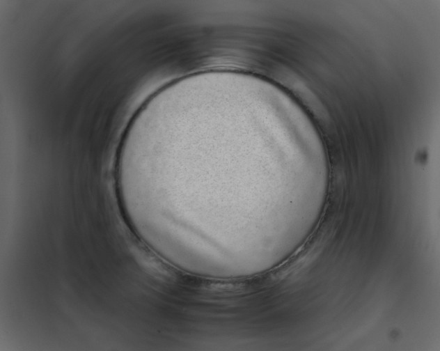 X0000101991427200808081623