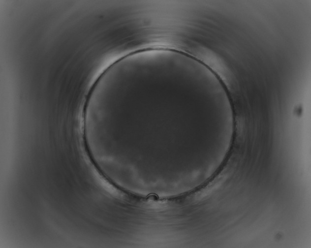 X0000101991428200808081623