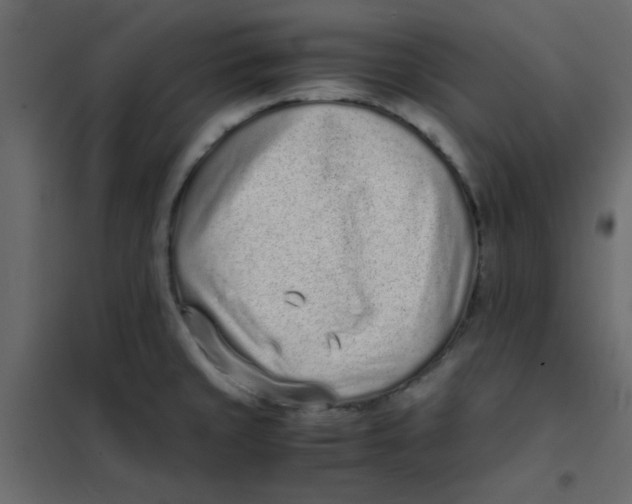 X0000101991429200808081623