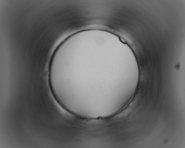 X0000101991430200808081623