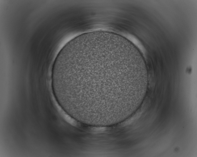 X0000101991431200808081623