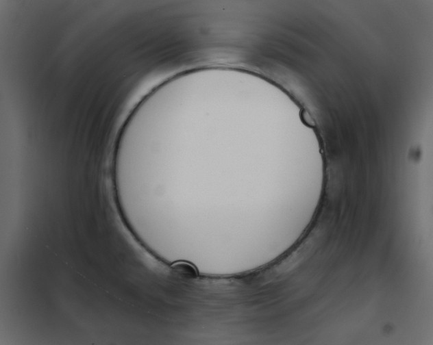 X0000101991432200808081623