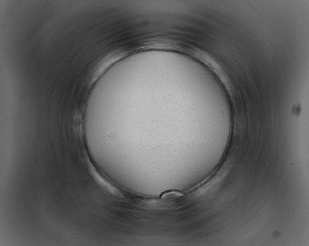 X0000101991433200808081623