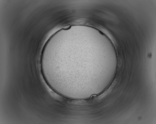 X0000101991434200808081623