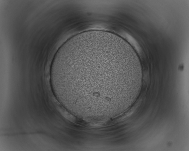 X0000101991435200808081623