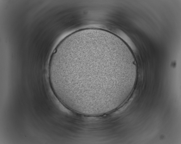 X0000101991436200808081623