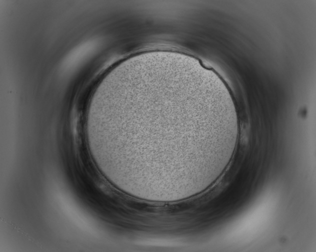 X0000101991438200808081623