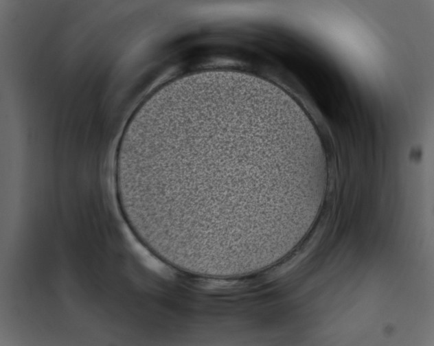 X0000101991439200808081623