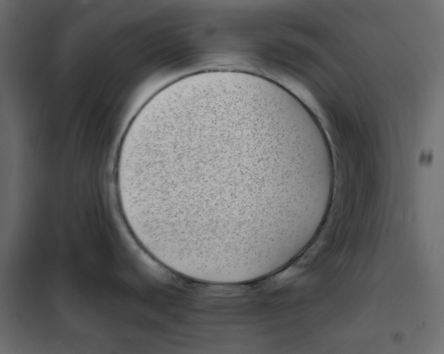 X0000101991440200808081623