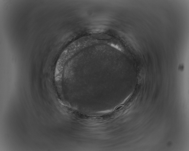 X0000101991441200808081623