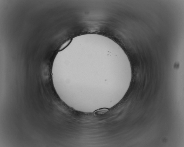 X0000101991442200808081623