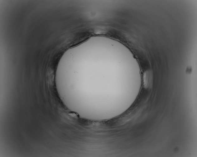 X0000101991443200808081623