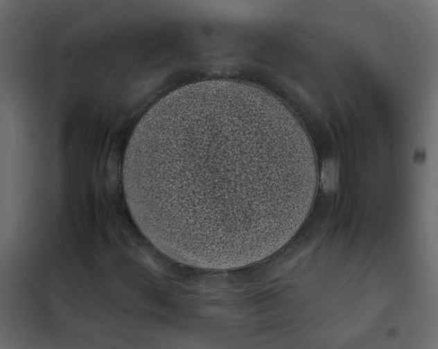 X0000101991444200808081623