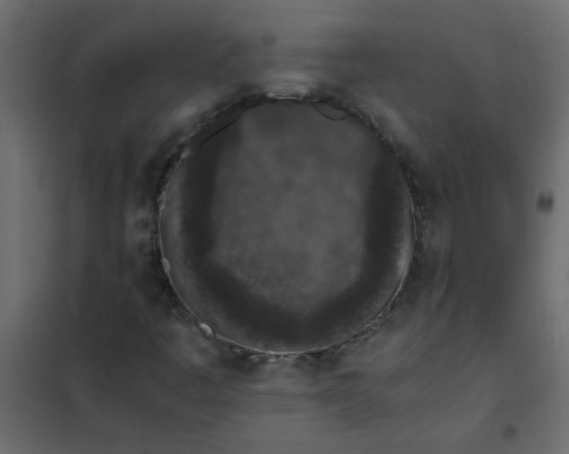 X0000101991445200808081623