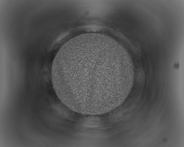 X0000101991446200808081623