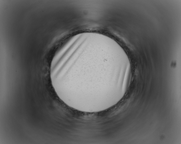 X0000101991447200808081623