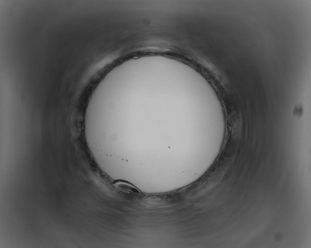 X0000101991448200808081622