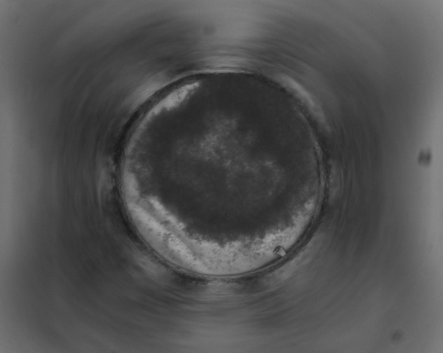 X0000101991449200808081622