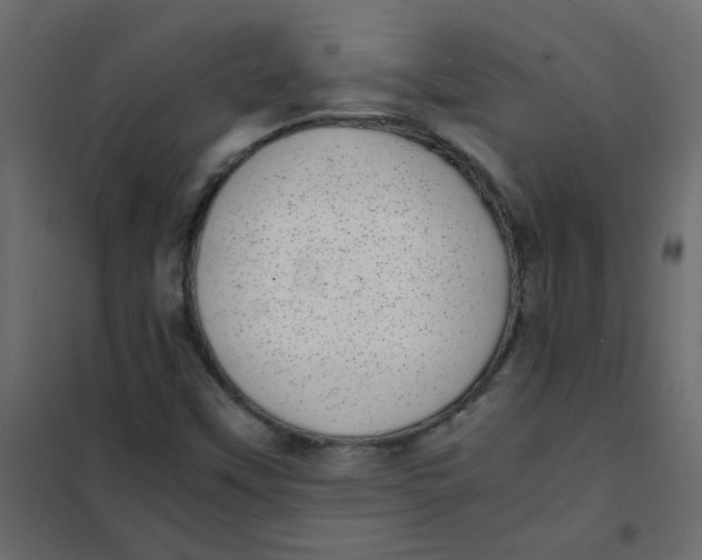 X0000101991451200808081622