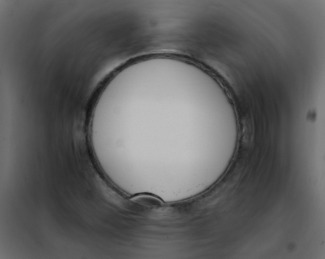 X0000101991452200808081622