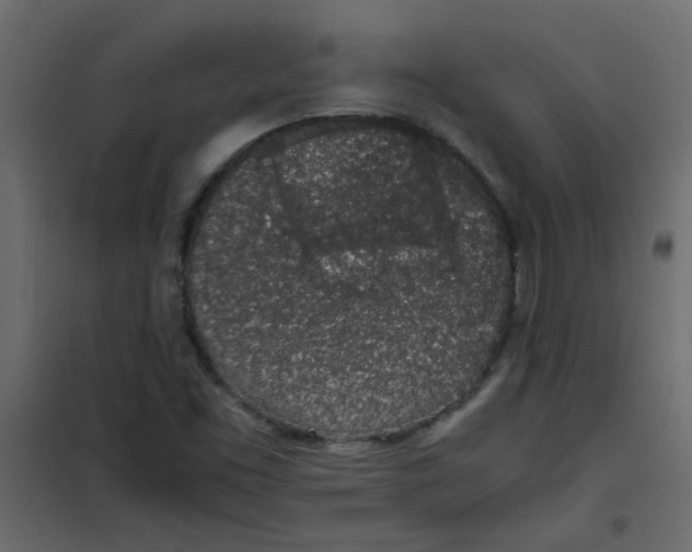 X0000101991453200808081622