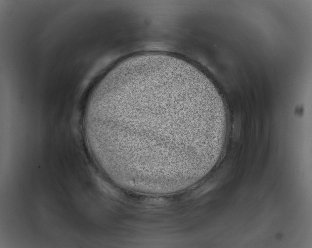 X0000101991454200808081622