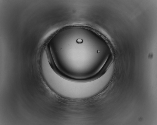 X0000101991456200808081622