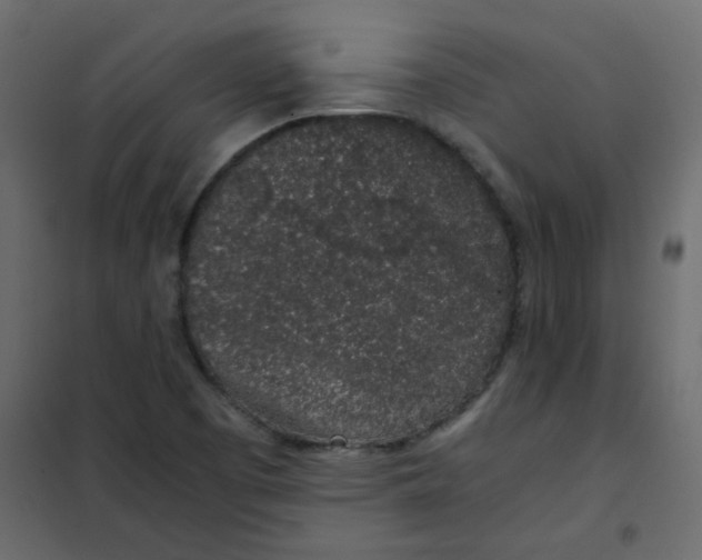 X0000101991457200808081622