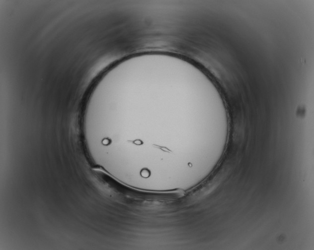 X0000101991458200808081622