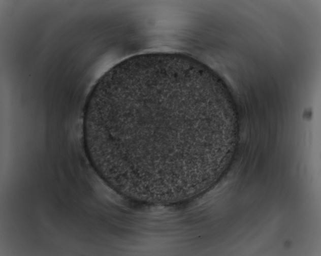 X0000101991459200808081622