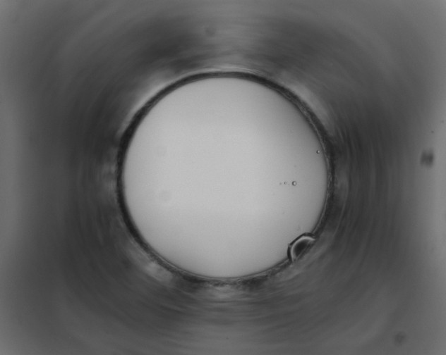 X0000101991460200808081622