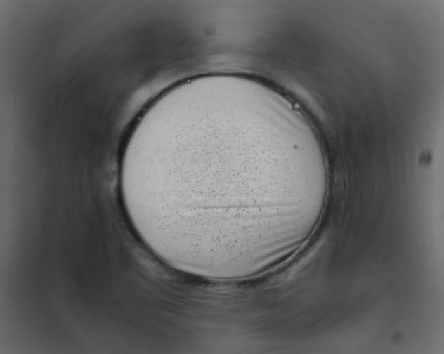 X0000101991461200808081622