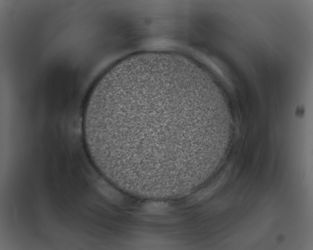 X0000101991462200808081622