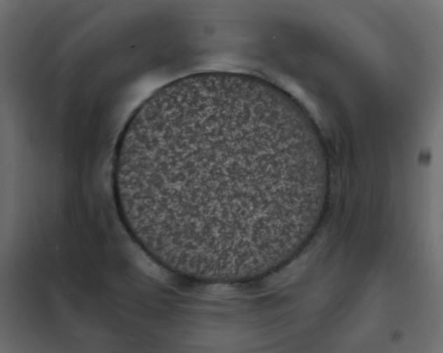 X0000101991463200808081622