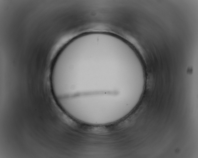 X0000101991464200808081622