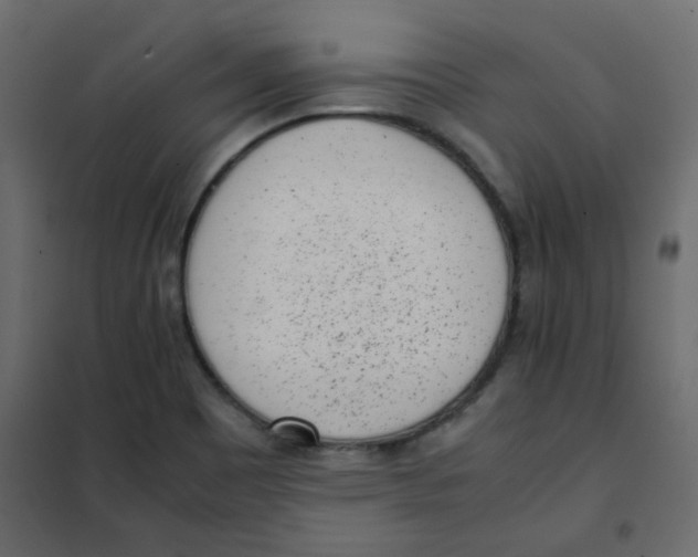 X0000101991465200808081622