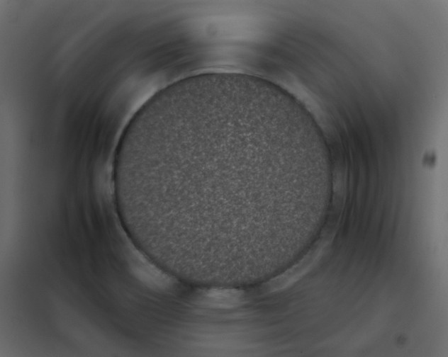 X0000101991466200808081622