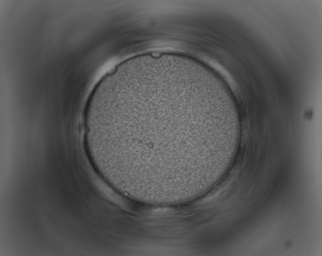 X0000101991467200808081622