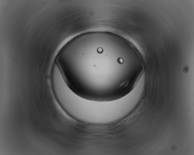 X0000101991468200808081622