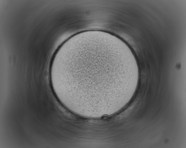 X0000101991469200808081622