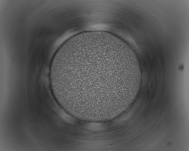 X0000101991470200808081622