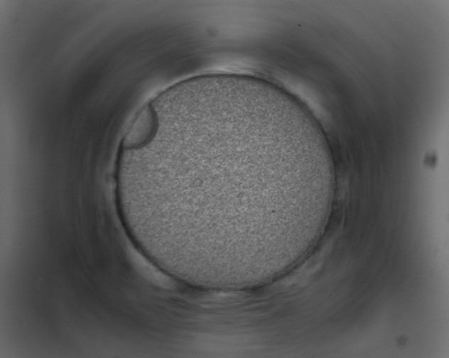 X0000101991471200808081622