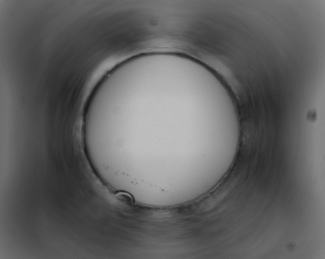 X0000101991472200808081622