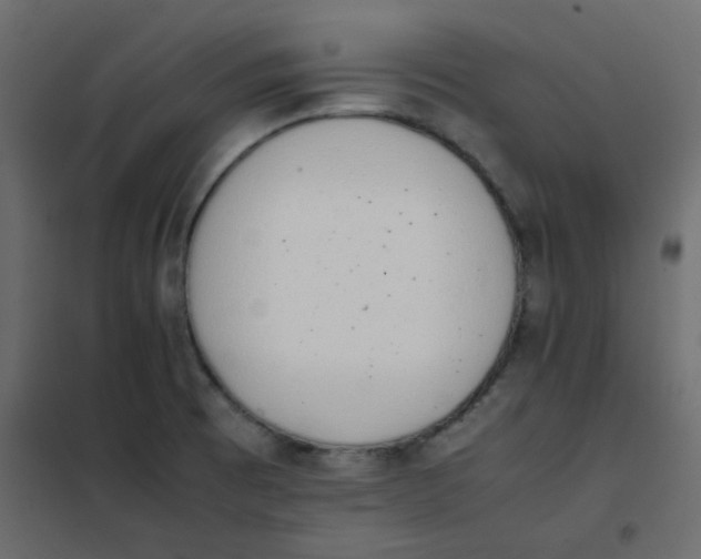 X0000101991473200808081622