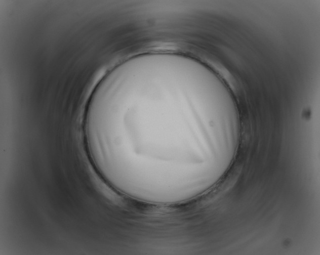 X0000101991475200808081622